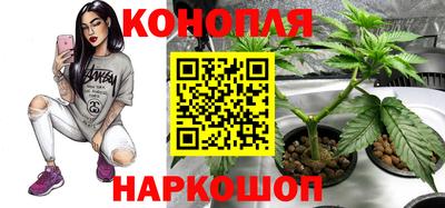 дмт Канаш