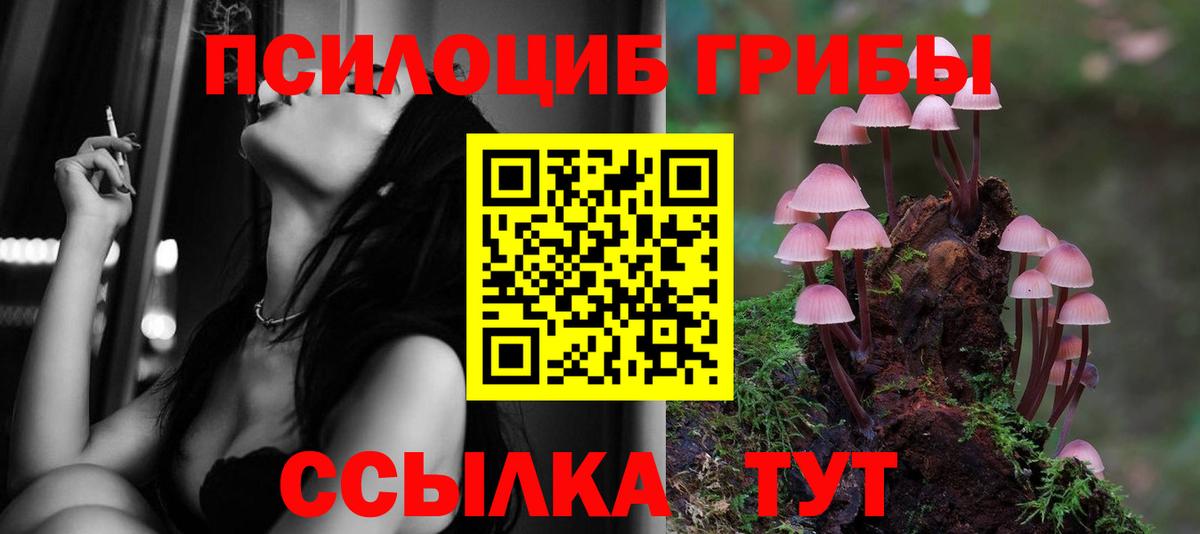 Рузаевка  Псилоцибиновые грибы MAGIC MUSHROOMS  Вход с VPN 